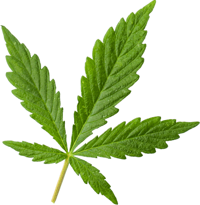 https://frostedhemp.com/wp-content/uploads/2018/12/marijuana_leaf_large.png